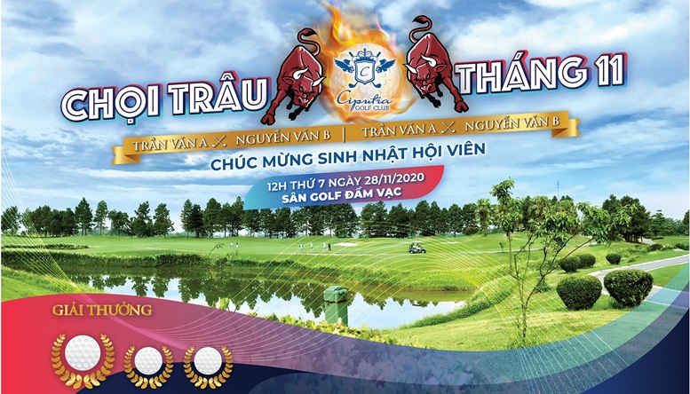 Chọi Trâu tháng 11